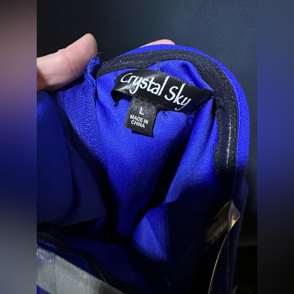 Royal blue jumpsuit. Size large with lots of stretch. - Picture 4 of 5